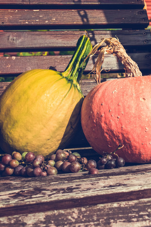 Autumn fruit, grapes and pumpkins close upの写真素材