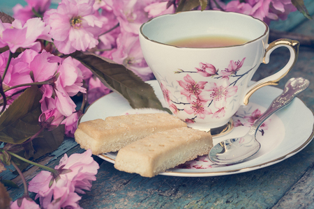 Beautiful, English, vintage teacup with Japanese cherry tree blossoms, close uptの写真素材