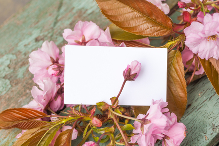 Vintage background with a note, copy space and Japanese cherry blossomsの写真素材