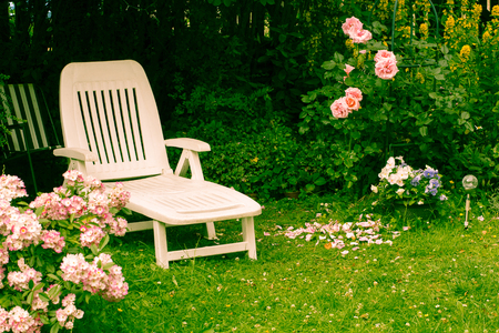 White deckchair in the garden among pink roses, romantic settingsの写真素材