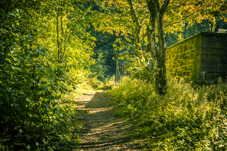 Old path in the parkの写真素材