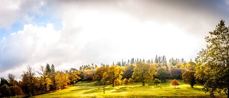 Panorama of the park.Autumn in Scotland. A banner with golden Trees in a parkの写真素材