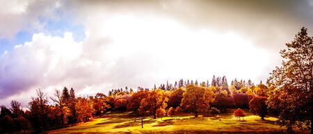 Panorama of the park.Autumn in Scotland. A banner with golden Trees in a parkの写真素材