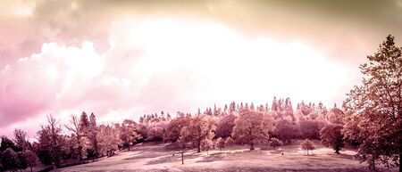 Panorama of the park.Autumn in Scotland. A banner with golden Trees in a parkの写真素材