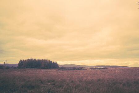 Fantasy rural landscape with fields and blurry skyの写真素材