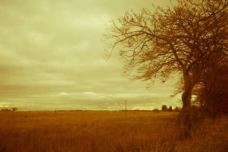 Fantasy rural landscape with fields and blurry skyの写真素材