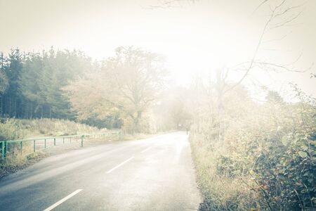 Dreamy, artistic background with a blurry road and atumn treesの写真素材