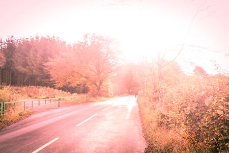 Dreamy, artistic background with a blurry road and atumn treesの写真素材