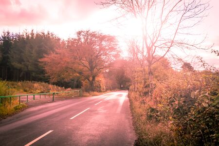 Dreamy, artistic background with a blurry road and atumn treesの写真素材