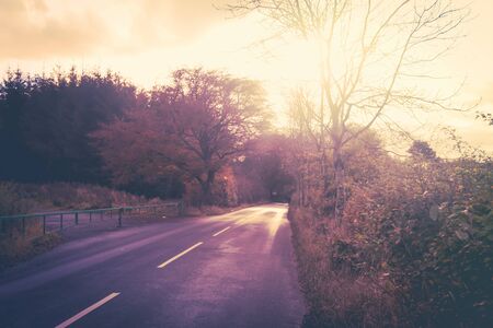 Dreamy, artistic background with a blurry road and atumn treesの写真素材