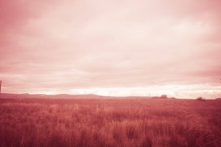 Fantasy rural landscape with fields and blurry skyの写真素材