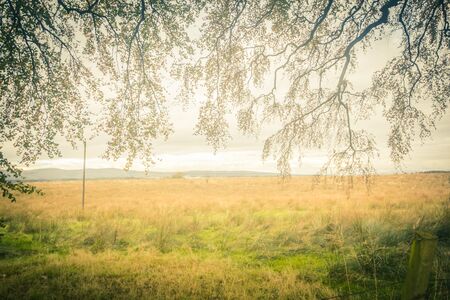 Dreamy Autumnal landscape with tree branches, fields and copyspaceの写真素材