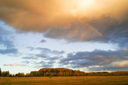 Dark stormy clouds over wheat field. Square panorama from two photosの写真素材