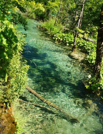Beautiful blue green water on a sunny day in the lake at Plitviceの写真素材