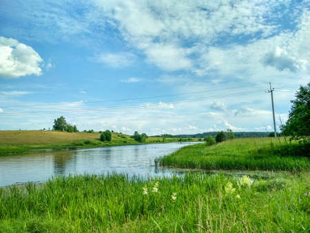Green summer meadow and river with blue cloudy skyの写真素材
