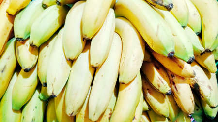 yellow bunches of bananas close-up backgroundの写真素材