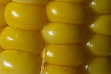 Corn sugar cornの写真素材