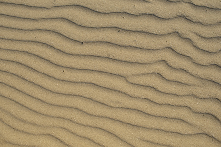 Wet, wet, yellow sand on the seashoreの写真素材