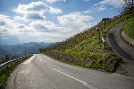 Asvaltnaf road in the countryside of Slovenia, Hogas slatina, cumulus cloudsの写真素材