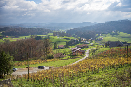 Asvaltnaf road in the countryside of Slovenia, Hogas slatina, cumulus cloudsの写真素材