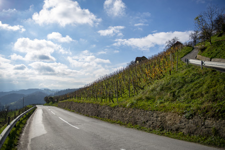 Asvaltnaf road in the countryside of Slovenia, Hogas slatina, cumulus cloudsの写真素材