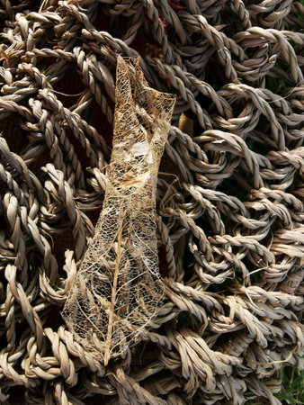 A closeup shot of a pile of dry twigs