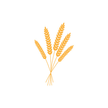 vector illustration of wheat, rye or barley ears with whole grain, yellow wheat, rye or barley crop harvest symbol or icon isolated on white background.のイラスト素材