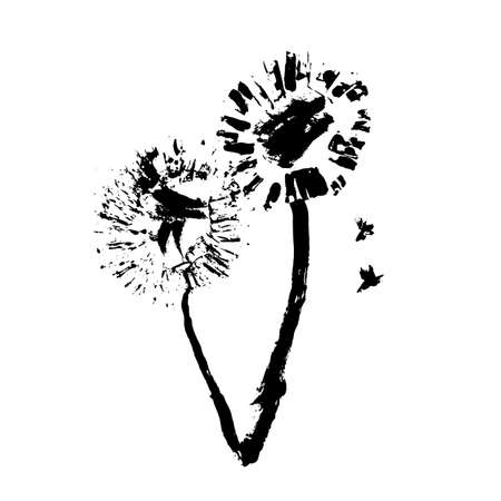 Hand drawn flower on white background. Hand drawn dandelion. Vector illustration.のイラスト素材