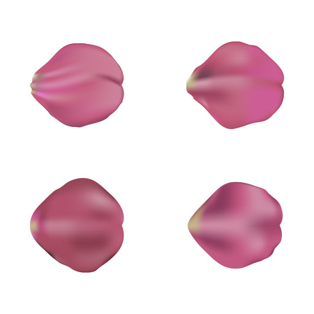 soft rose petals set, isolated on white background, vector illustrationのイラスト素材