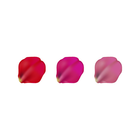 different color rose petals set, isolated on white, vector illustrationのイラスト素材