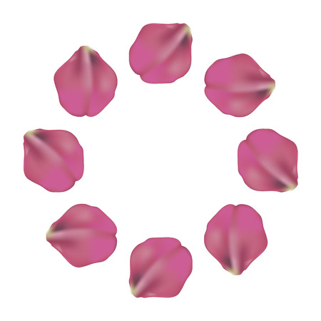 beautiful rose petals circle pattern on white background, vector illustration. Design for wedding 14 february, birthdayのイラスト素材