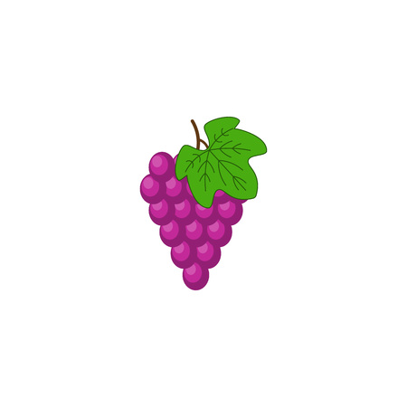 Fresh bunch of grapes purple icon on white background. vector illustration in flat style. Bright colorful grape.のイラスト素材