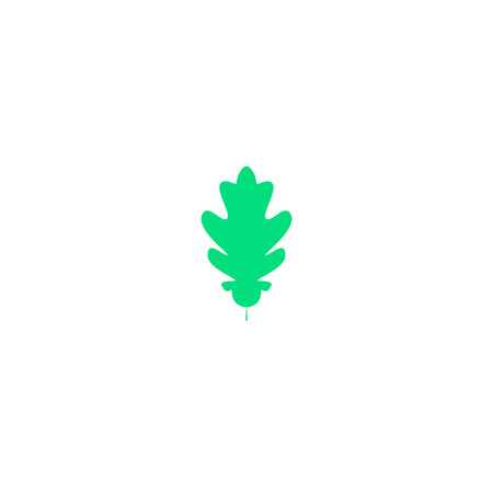 Autumn or summer oak leaf isolated over a white background. Vector illustrationのイラスト素材