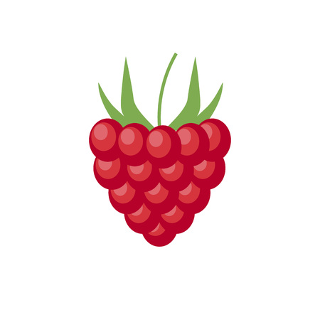 Raspberry with leaf vector icon. Raspberry icon clipart. Raspberry cartoon.のイラスト素材