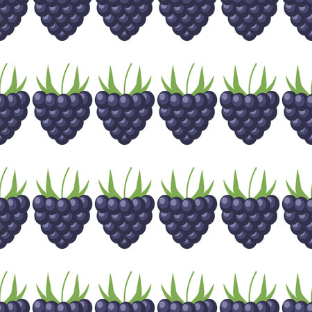 Summer berries seamless pattern. Blackberry illustration vector background.のイラスト素材