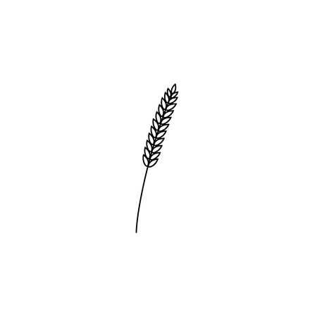 vector illustration of wheat, rye or barley ears whole grain, black line symbol icon isolated on white background.のイラスト素材