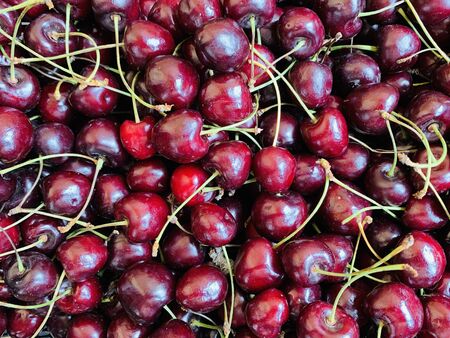 Close up of pile of ripe cherries with stalks. Large collection of fresh red cherries. Sweet organic red berriesの写真素材