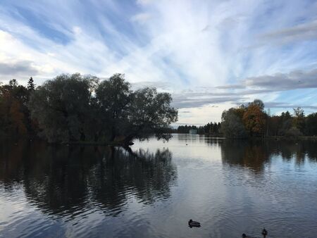 Pond or lake in autumn, yellow leaves, reflectionの写真素材