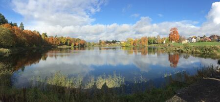 Pond or lake in autumn, yellow leaves, reflectionの写真素材