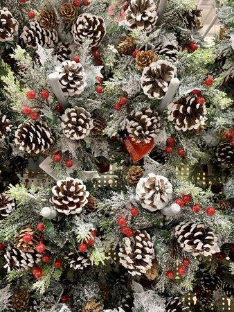 Christmas wreath with wild berries, conifer cones, spruce branches backgroundの写真素材