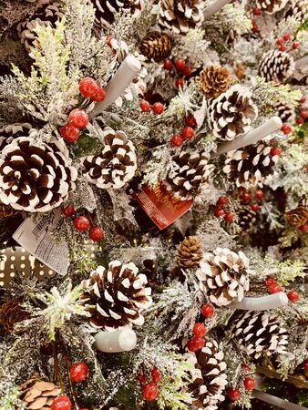 Christmas wreath with wild berries, conifer cones, spruce branches backgroundの写真素材