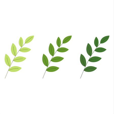 Green leaves set. Vector illustration on white Eps 10.のイラスト素材