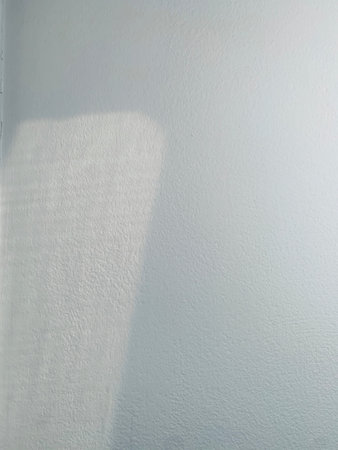 shadow on white wall for mock up sunlight through the window