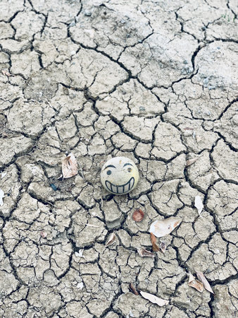 Top view shot of cracked dry soil with smiling ball and leaf. depressive mood