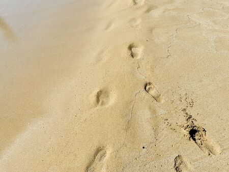 Footprints on the sandy beach near the seaの写真素材