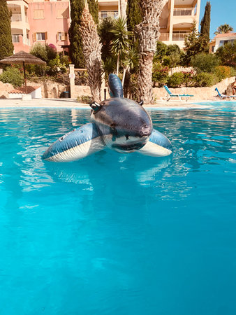 pool toy shark inflatable in swimming pooの写真素材