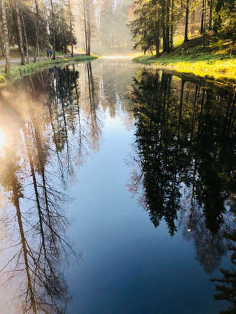 Autumn nature landscape of frosty november october morning on river shore with hoarfrost on grass and trees. Calm scenery autumn with red and yellow leaves on branches of tree on river bankの写真素材