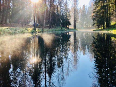 Autumn nature landscape of frosty november october morning on river shore with hoarfrost on grass and trees. Calm scenery autumn with red and yellow leaves on branches of tree on river bankの写真素材