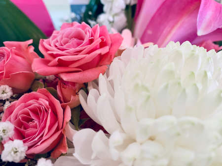 Background of pink and white roses and white chrysanthemums close upの写真素材