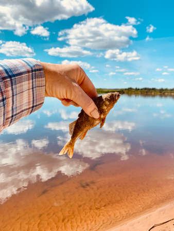 female Hand with caught fish in riverの写真素材